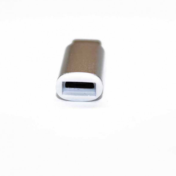 Переходник MicroUSB на USB 3.1 Type-C