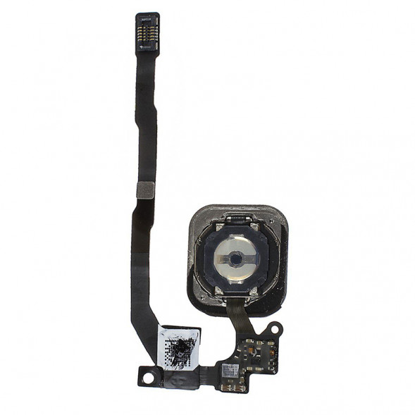 Кнопка Home для iPhone 5S со шлейфом (Белый)