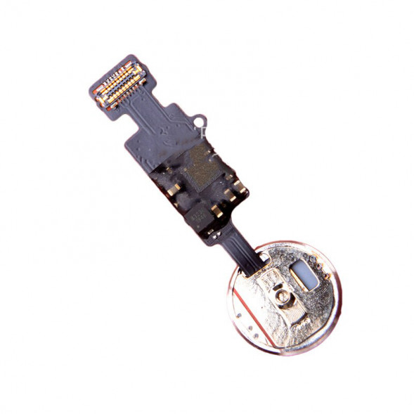 Кнопка Home iPhone 7 / 7 Plus / 8 / 8 Plus на шлейфе (белый)