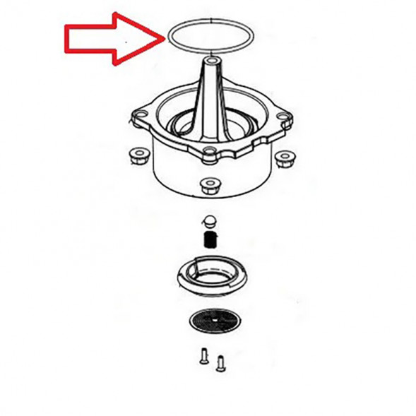 140325962 Прокладка-кольцо кофемашины Saeco, Gaggia