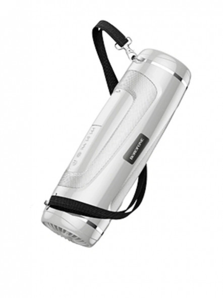 Портативная колонка Borofone BR7 Empyreal Sports Wireless (серый)