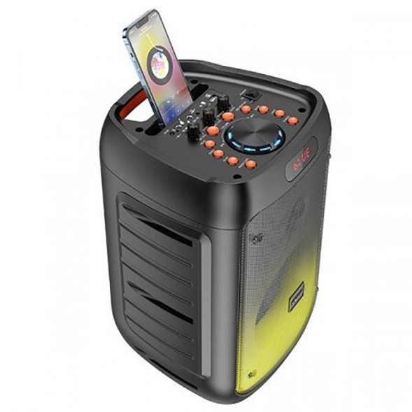 Портативная колонка Borofone BP10 Fireworks караоке с микрофоном (черный)